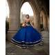 Long Sleeve Vestidos De 15 Anos Blue Dress Girl Quince Women 2024 Ball Gown Lace Appliques Girl Birthday Gowns