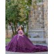 Ruffled 15 Anos Purple Quince Dress Lace Appliques Girl Birthday Gowns Long Sleeve V Neck Sweet 15 Gowns