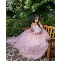 Sleeveless 15 Anos Pink Quince Dress Sweetheart Neck Sweet 15 Gowns Lace Appliques Girl Birthday Gowns With 3D Flowers