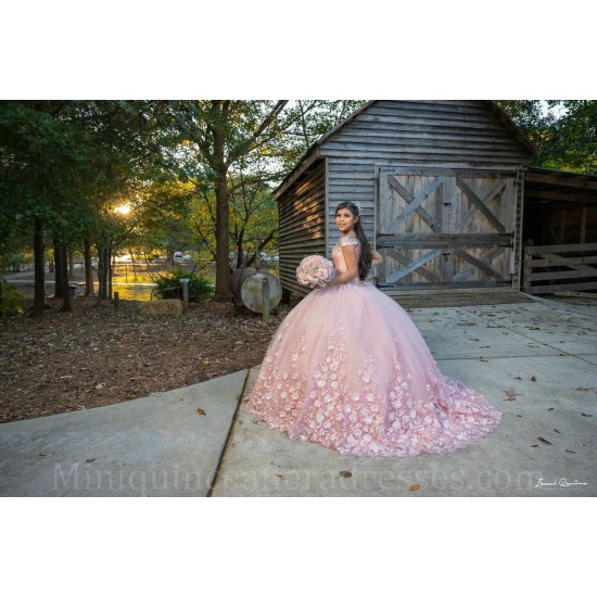 Sleeveless 15 Anos Pink Quince Dress Women 2024 Ball Gown Sequin Girl Birthday Gowns With 3D Flowers