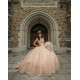 Sleeveless 15 Anos Rose Gold Quince Dress Sweetheart Neck Women 2024 Ball Gown Lace Appliques Girl Birthday Gowns