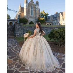 V Neck 15 Anos Champagne Quince Dress Sleeveless Women 2024 Ball Gown Sequin Girl Birthday Gowns With 3D Flowers