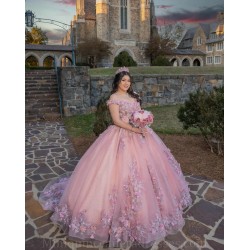 V Neck 15 Anos Pink Quince Dress Sleeveless Women 2024 Ball Gown Sequin Girl Birthday Gowns With 3D Flowers