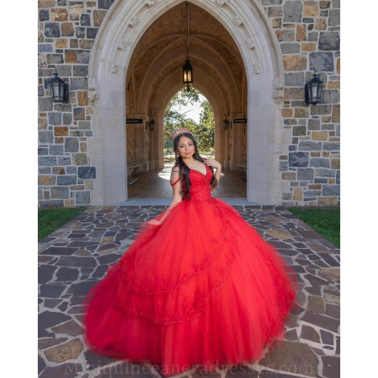 V Neck 15 Anos Red Quince Dress Sleeveless Girl Birthday Gowns Lace Appliques Sweet 15 Gowns