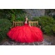 V Neck 15 Anos Red Quince Dress Sleeveless Girl Birthday Gowns Lace Appliques Sweet 15 Gowns