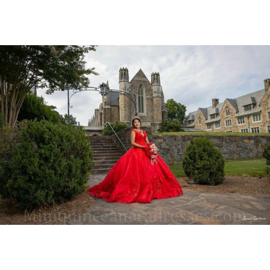 V Neck 15 Anos Red Quince Dress Sleeveless Women 2024 Ball Gown Lace Appliques Girl Birthday Gowns